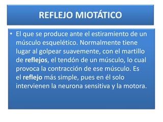 REFLEJO MIOTÁTICO
• El que se produce ante el estiramiento de un
músculo esquelético. Normalmente tiene
lugar al golpear suavemente, con el martillo
de reflejos, el tendón de un músculo, lo cual
provoca la contracción de ese músculo. Es
el reflejo más simple, pues en él solo
intervienen la neurona sensitiva y la motora.
 
