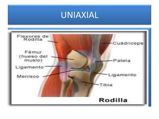 UNIAXIAL
 