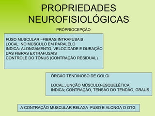 PROPRIEDADES NEUROFISIOLÓGICAS FUSO MUSCULAR –FIBRAS INTRAFUSAIS LOCAL: NO MÚSCULO EM PARALELO INDICA: ALONGAMENTO, VELOCIDADE E DURAÇÃO DAS FIBRAS EXTRAFUSAIS CONTROLE DO TÔNUS (CONTRAÇÃO RESIDUAL) PRÓPRIOCEPÇÃO ÓRGÃO TENDINOSO DE GOLGI LOCAL:JUNÇÃO MÚSCULO-ESQUELÉTICA INDICA; CONTRAÇÃO, TENSÃO DO TENDÃO, GRAUS A CONTRAÇÃO MUSCULAR RELAXA  FUSO E ALONGA O OTG 