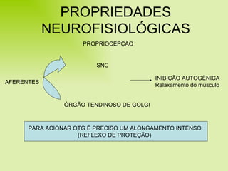 PROPRIEDADES NEUROFISIOLÓGICAS PROPRIOCEPÇÃO ÓRGÃO TENDINOSO DE GOLGI PARA ACIONAR OTG É PRECISO UM ALONGAMENTO INTENSO (REFLEXO DE PROTEÇÃO) SNC AFERENTES INIBIÇÃO AUTOGÊNICA Relaxamento do músculo 