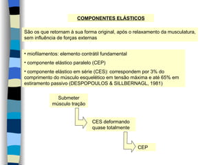 COMPONENTES ELÁSTICOS São os que retornam à sua forma original, após o relaxamento da musculatura, sem influência de forças externas miofilamentos: elemento contrátil fundamental componente elástico paralelo (CEP) componente elástico em série (CES): correspondem por 3% do comprimento do músculo esquelético em tensão máxima e até 65% em estiramento passivo (DESPOPOULOS & SILLBERNAGL, 1981) Submeter músculo tração CES deformando quase totalmente CEP 
