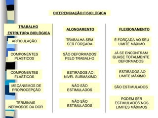 DIFERENCIAÇÃO FISIOLÓGICA TRABALHO ESTRUTURA BIOLÓGICA ALONGAMENTO FLEXIONAMENTO ARTICULAÇÃO TRABALHA SEM SER FORÇADA É FORÇADA AO SEU LIMITE MÁXIMO COMPONENTES PLÁSTICOS SÃO DEFORMADOS PELO TRABALHO JÁ SE ENCONTRAM QUASE TOTALMENTE DEFORMADOS COMPONENTES ELÁSTICOS ESTIRADOS AO NÍVEL SUBMÁXIMO ESTIRADOS AO LIMITE MÁXIMO MECANISMOS DE PROPIOCEPÇÃO NÃO SÃO ESTIMULADOS SÃO ESTIMULADOS TERMINAIS NERVOSOS DA DOR NÃO SÃO ESTIMULADOS PODEM SER ESTIMULADOS NOS LIMITES MÁXIMOS 
