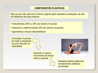 COMPONENTES PLÁSTICOS

São os que não retornam à forma original após cessada a contração, se não
há influência de força externa


• mitocôndrias (30% a 35% do volume muscular
• reticulum e sistema tubular (5% de volume muscular)
• ligamentos e discos intervertebrais


Contração muscular
em toda a amplitude
do arco articular ou
velocidade


                        Execute o mesmo
                        movimento de forma
                        lenta e gradual
                                               Desejável deformação dos
                                               componentes plásticos
                                               envolvidos
 