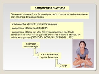 COMPONENTES ELÁSTICOS

São os que retornam à sua forma original, após o relaxamento da musculatura,
sem influência de forças externas


• miofilamentos: elemento contrátil fundamental
• componente elástico paralelo (CEP)
• componente elástico em série (CES): correspondem por 3% do
comprimento do músculo esquelético em tensão máxima e até 65% em
estiramento passivo (DESPOPOULOS & SILLBERNAGL, 1981)

              Submeter
            músculo tração


                               CES deformando
                               quase totalmente



                                                  CEP
 