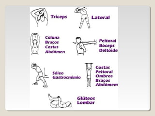 Flexibilidade treinamento