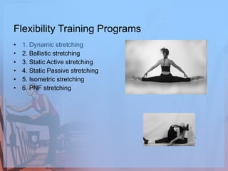 Flexibility Training Program