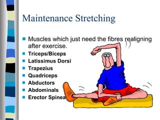 Maintenance Stretching Muscles which just need the fibres realigning after exercise. Triceps/Biceps Latissimus Dorsi Trapezius Quadriceps Abductors Abdominals Erector Spinea 