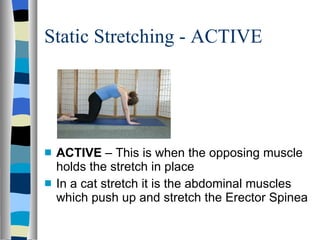 Static Stretching - ACTIVE ACTIVE  – This is when the opposing muscle holds the stretch in place In a cat stretch it is the abdominal muscles which push up and stretch the Erector Spinea 