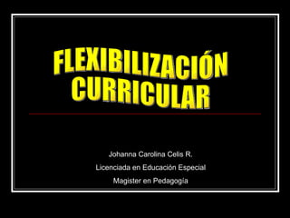 FLEXIBILIZACIÓN CURRICULAR Johanna Carolina Celis R. Licenciada en Educación Especial Magister en Pedagogía 