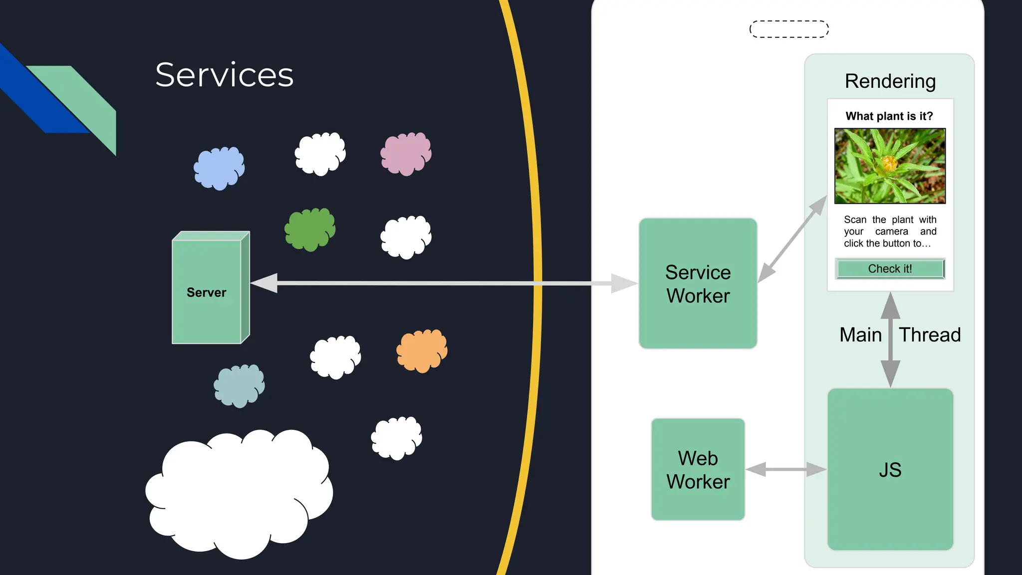 Services
Main Thread
Server
Service
Worker
Web
Worker
Rendering
What plant is it?
Check it!
Scan the plant with
your camera and
click the button to…
JS
 