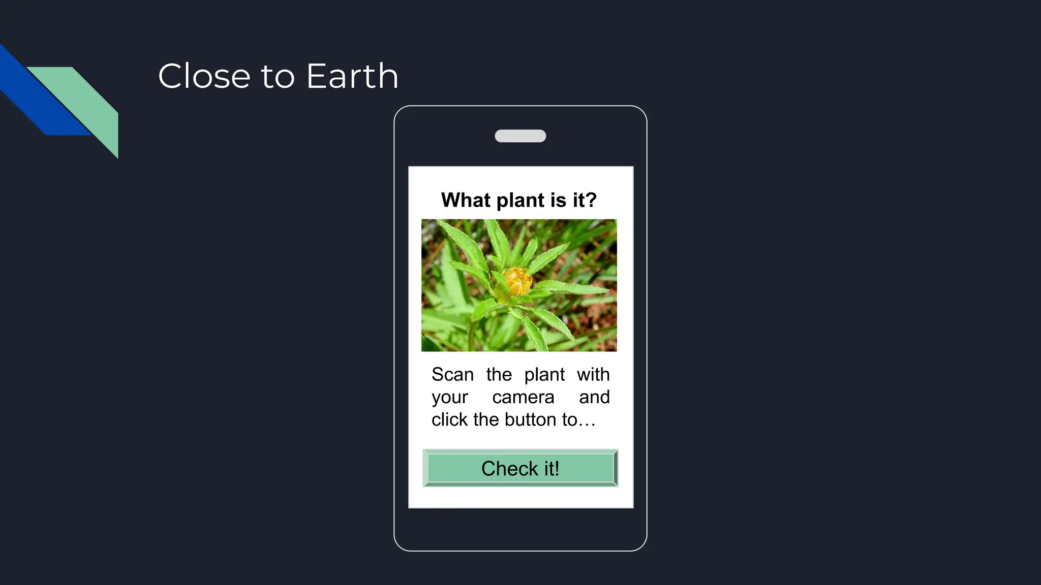 Close to Earth
What plant is it?
Check it!
Scan the plant with
your camera and
click the button to…
 