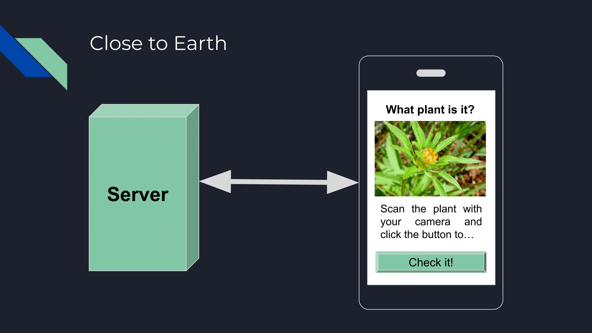 Close to Earth
Server
What plant is it?
Check it!
Scan the plant with
your camera and
click the button to…
 