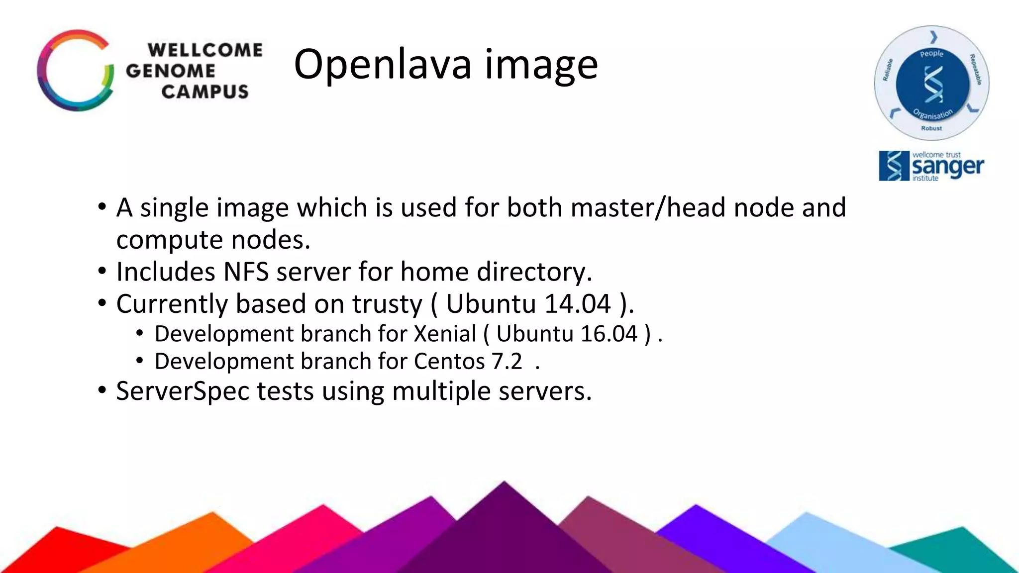 Openlava image
• A single image which is used for both master/head node and
compute nodes.
• Includes NFS server for home directory.
• Currently based on trusty ( Ubuntu 14.04 ).
• Development branch for Xenial ( Ubuntu 16.04 ) .
• Development branch for Centos 7.2 .
• ServerSpec tests using multiple servers.
 
