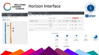 Horizon Interface
 