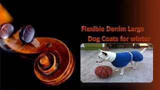 Flexible denim large dog coats for winter