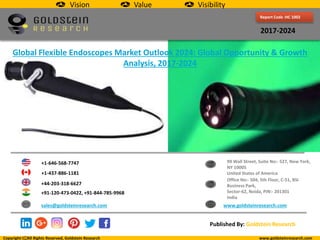 Report Code :HC 1002
2017-2024
Global Flexible Endoscopes Market Outlook 2024: Global Opportunity & Growth
Analysis, 2017-2024
+1-646-568-7747
+1-437-886-1181
+44-203-318-6627
+91-120-473-0422, +91-844-785-9968
sales@goldsteinresearch.com www.goldsteinresearch.com
99 Wall Street, Suite No:- 527, New York,
NY 10005
United States of America
Office No:- 504, 5th Floor, C-51, BSI
Business Park,
Sector-62, Noida, PIN:- 201301
India
Copyright All Rights Reserved, Goldstein Research www.goldsteinresearch.com
Published By: Goldstein Research
Vision Value Visibility
 