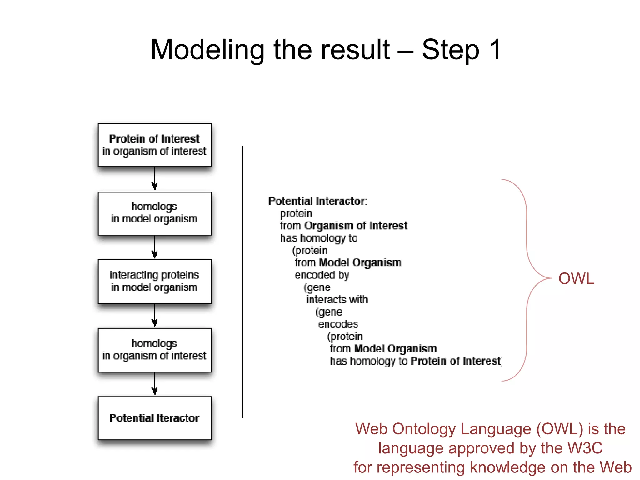 Modeling the result – Step 1




                                           OWL




                Web Ontology Language (OWL) is the
                    language approved by the W3C
                for representing knowledge on the Web
 