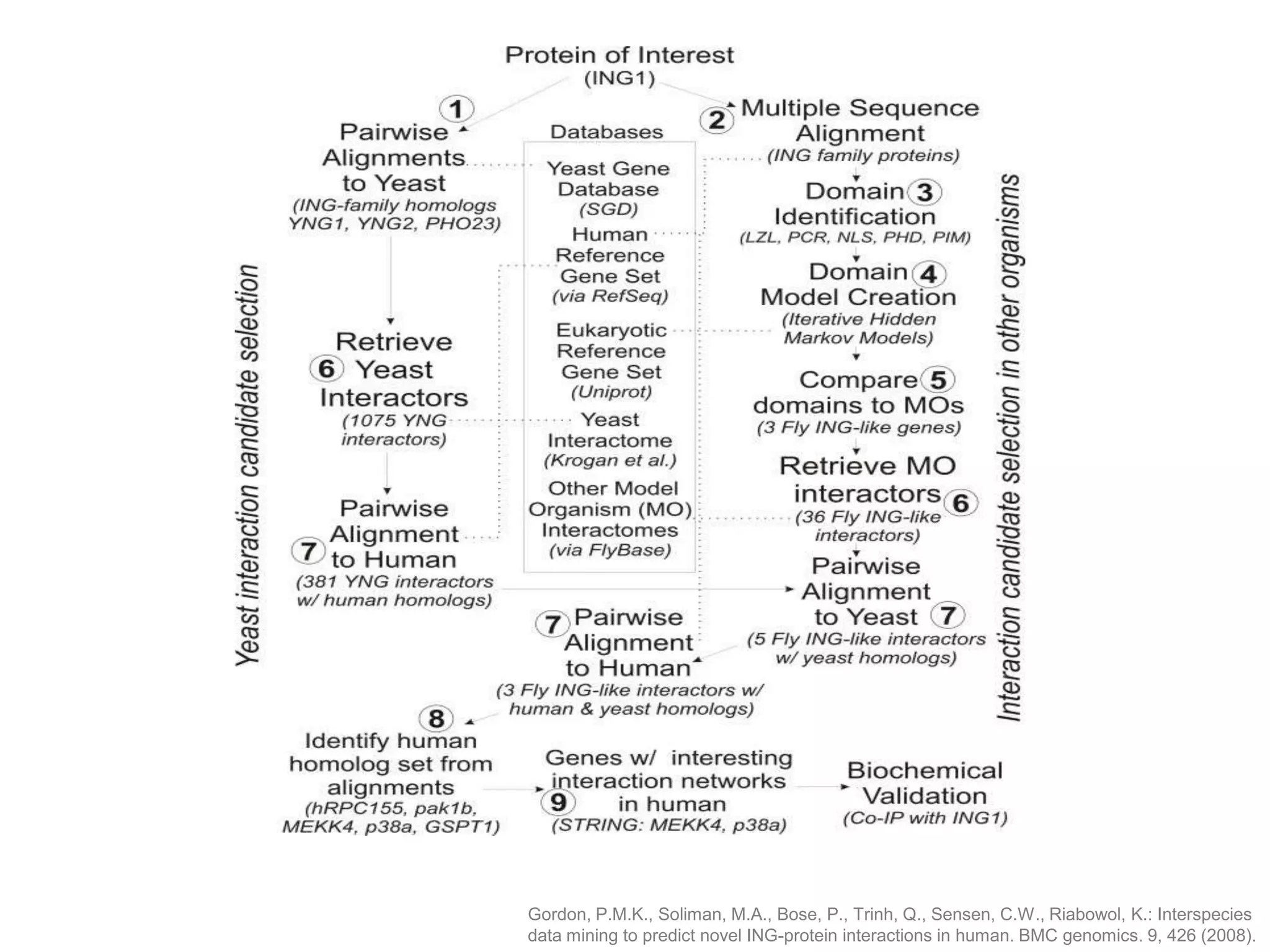 Gordon, P.M.K., Soliman, M.A., Bose, P., Trinh, Q., Sensen, C.W., Riabowol, K.: Interspecies
data mining to predict novel ING-protein interactions in human. BMC genomics. 9, 426 (2008).
 