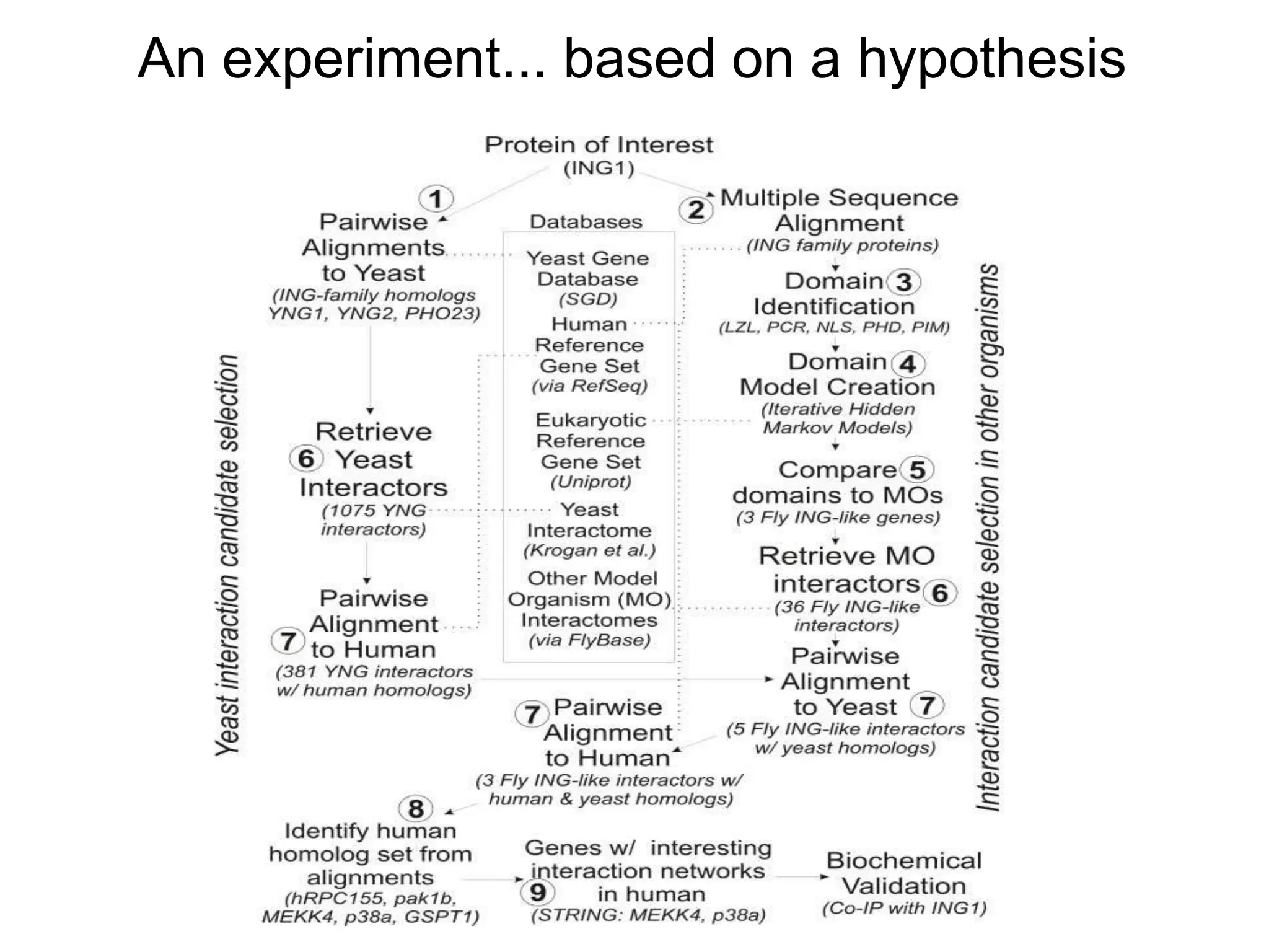 An experiment... based on a hypothesis
 