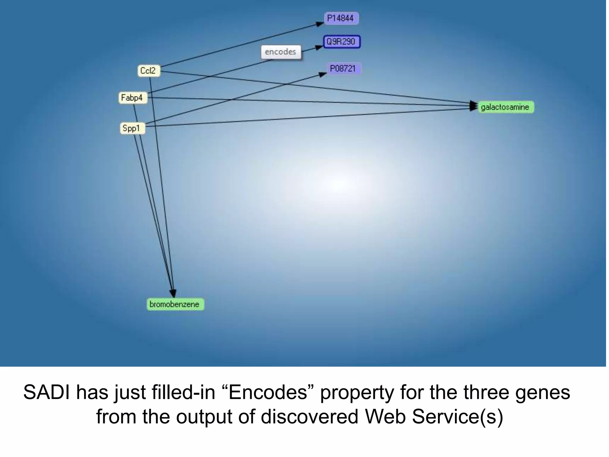 SADI has just filled-in “Encodes” property for the three genes
       from the output of discovered Web Service(s)
 