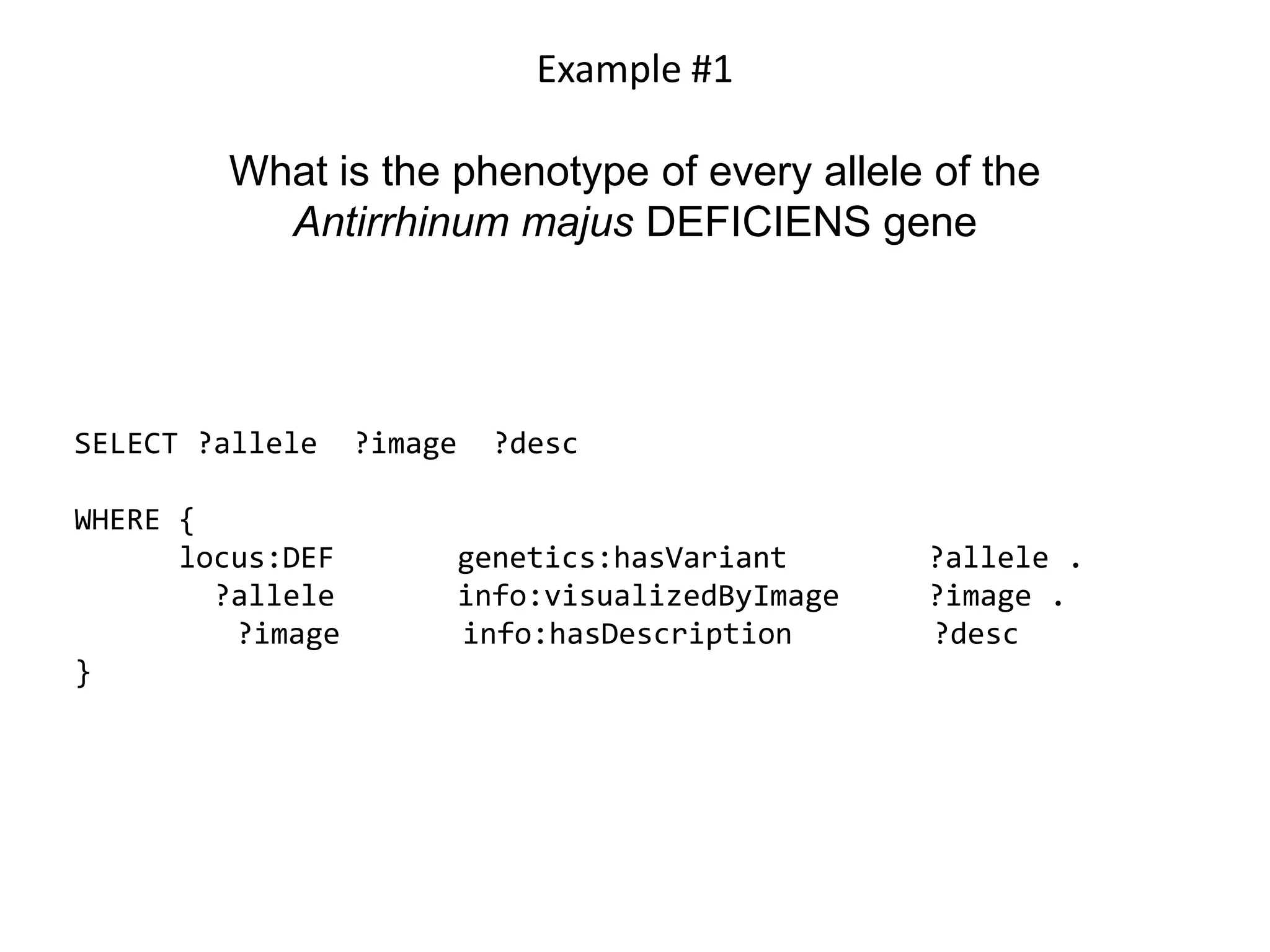 Example #1

        What is the phenotype of every allele of the
          Antirrhinum majus DEFICIENS gene




SELECT ?allele    ?image     ?desc

WHERE {
      locus:DEF            genetics:hasVariant      ?allele .
        ?allele            info:visualizedByImage   ?image .
         ?image            info:hasDescription      ?desc
}
 