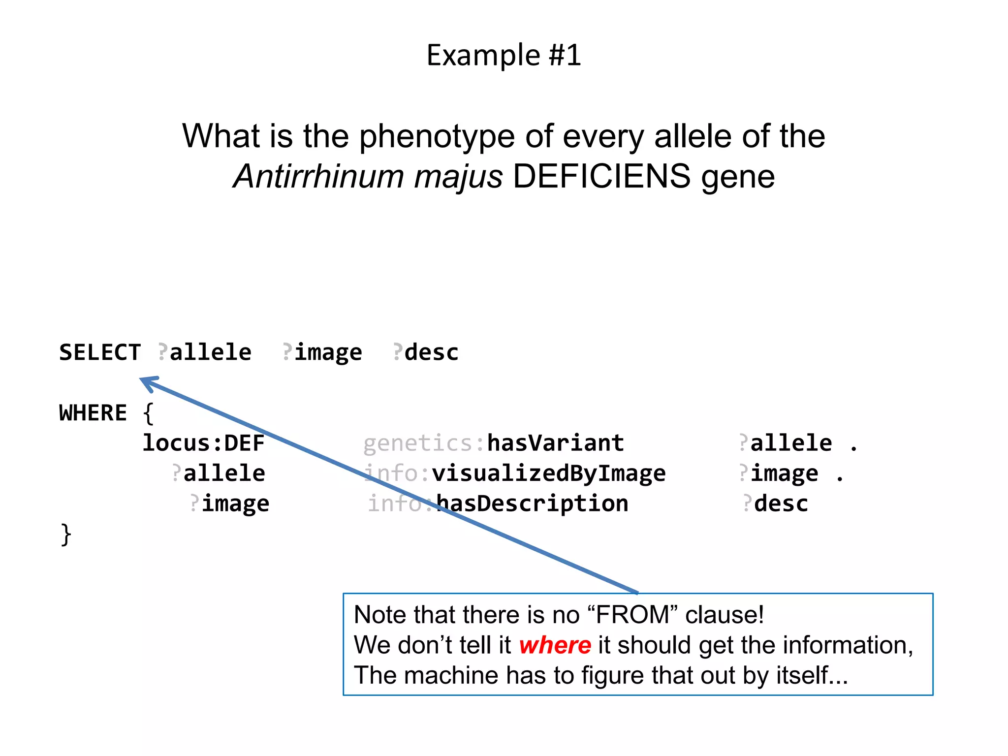 Example #1

        What is the phenotype of every allele of the
          Antirrhinum majus DEFICIENS gene




SELECT ?allele    ?image     ?desc

WHERE {
      locus:DEF            genetics:hasVariant             ?allele .
        ?allele            info:visualizedByImage          ?image .
         ?image            info:hasDescription             ?desc
}


                       Note that there is no “FROM” clause!
                       We don’t tell it where it should get the information,
                       The machine has to figure that out by itself...
 