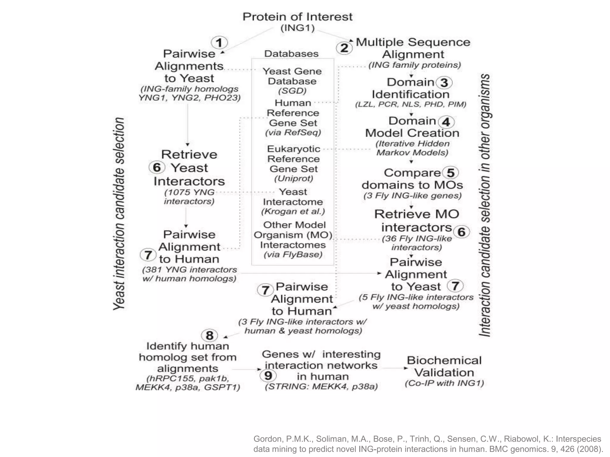 Gordon, P.M.K., Soliman, M.A., Bose, P., Trinh, Q., Sensen, C.W., Riabowol, K.: Interspecies
data mining to predict novel ING-protein interactions in human. BMC genomics. 9, 426 (2008).
 