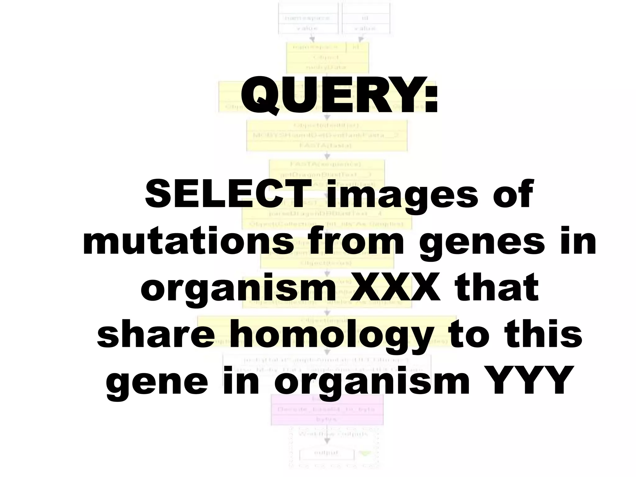 QUERY:

   SELECT images of
mutations from genes in
  organism XXX that
share homology to this
 gene in organism YYY
 