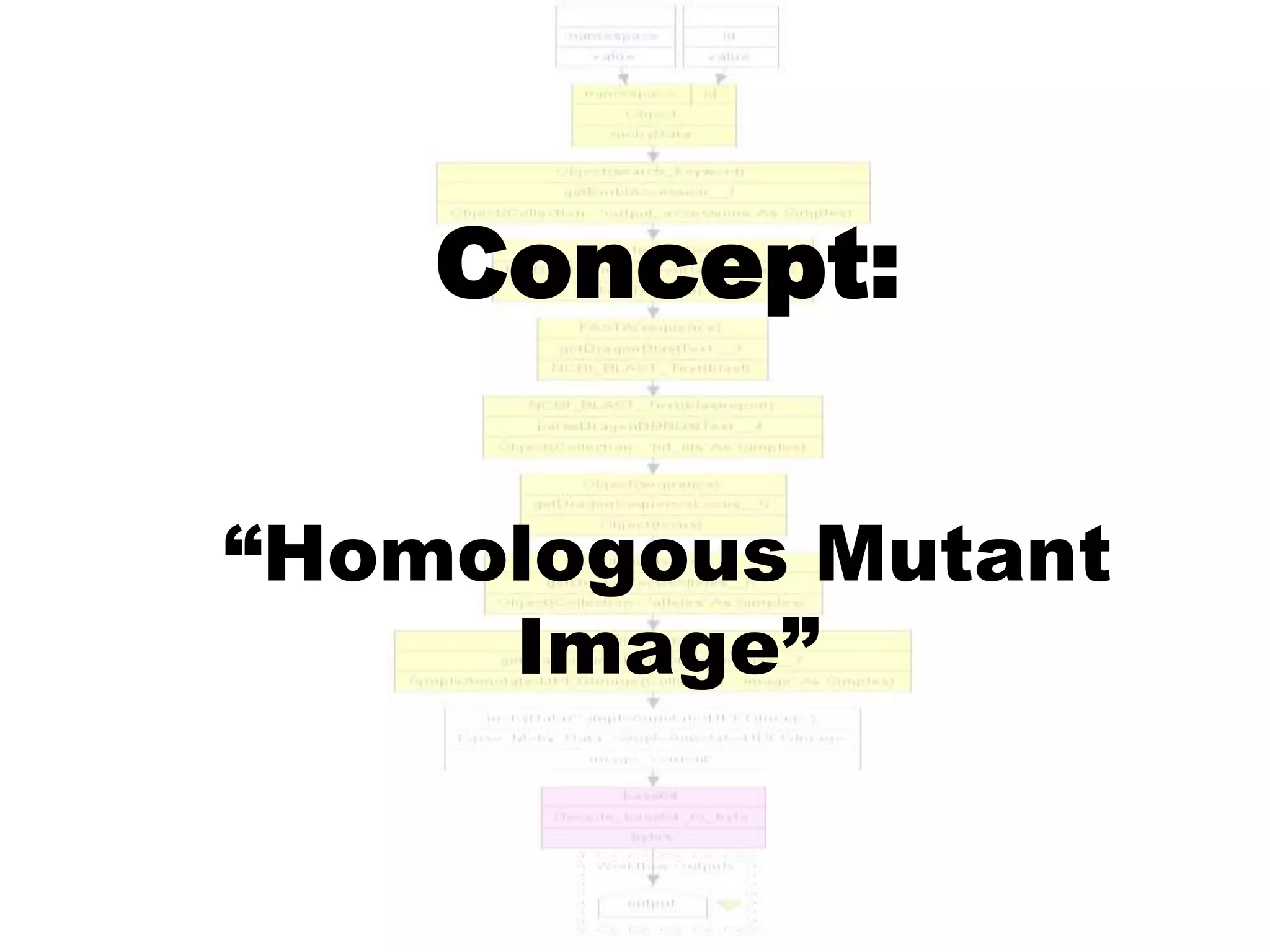 Concept:

“Homologous Mutant
     Image”
 