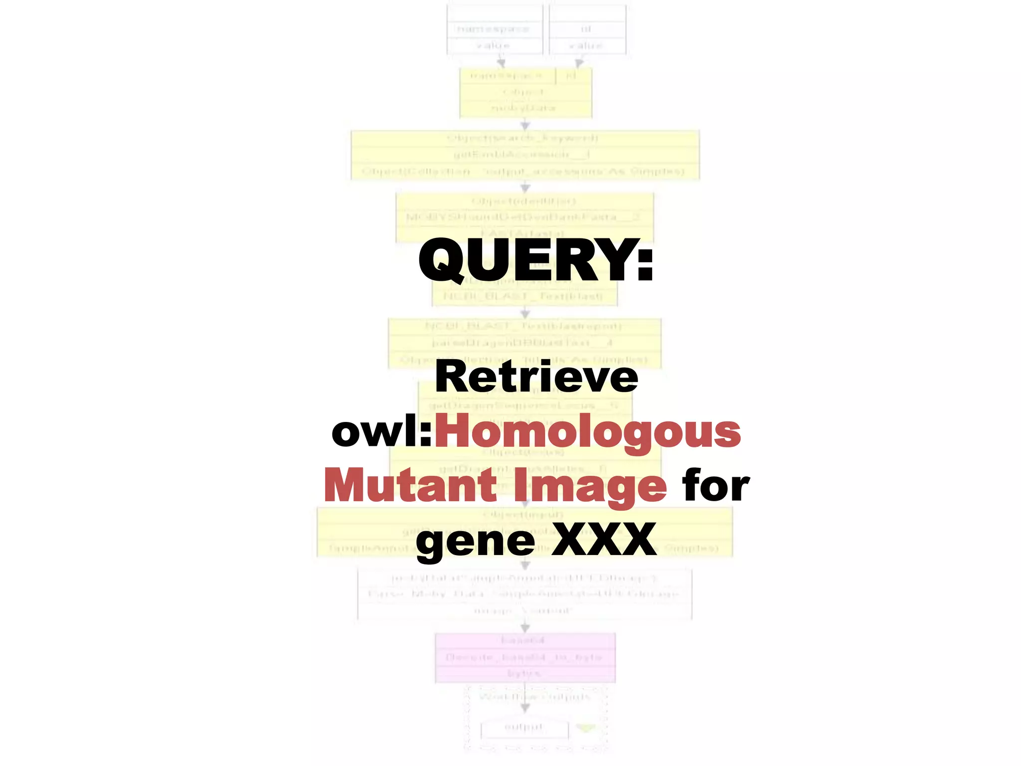 QUERY:
    Retrieve
owl:Homologous
Mutant Image for
   gene XXX
 