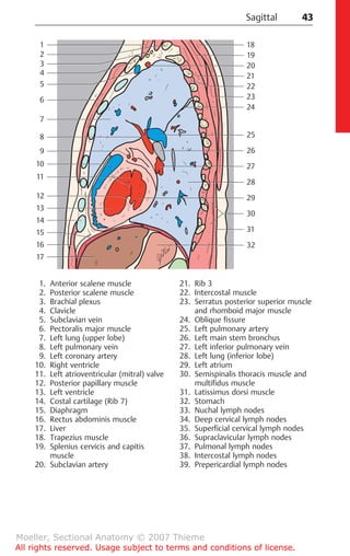 Flexibook_Torsten_Bert_Moeller,_Emil_Reif_Pocket_atlas_of_sectional.pdf