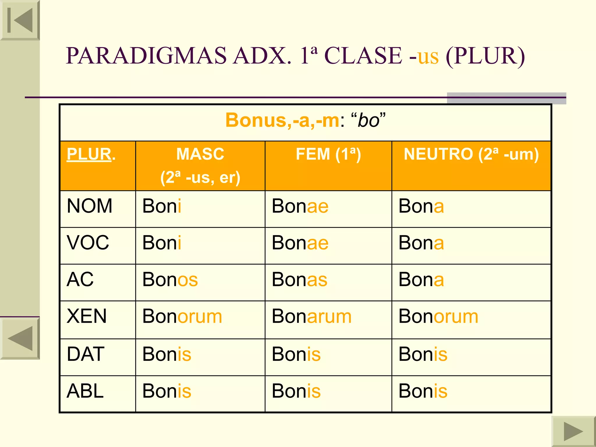 PARADIGMAS ADX. 1ª CLASE -us (PLUR)

                  Bonus,-a,-m: “bo”
PLUR.      MASC           FEM (1ª)    NEUTRO (2ª -um)
         (2ª -us, er)
NOM     Boni            Bonae         Bona
VOC     Boni            Bonae         Bona
AC      Bonos           Bonas         Bona
XEN     Bonorum         Bonarum       Bonorum
DAT     Bonis           Bonis         Bonis
ABL     Bonis           Bonis         Bonis
 