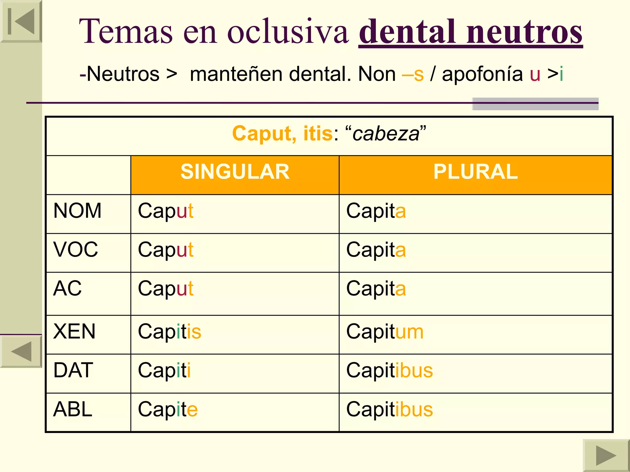 Temas en oclusiva dental neutros
 -Neutros > manteñen dental. Non –s / apofonía u >i

                 Caput, itis: “cabeza”
           SINGULAR                      PLURAL
NOM    Caput                 Capita
VOC    Caput                 Capita
AC     Caput                 Capita

XEN    Capitis               Capitum
DAT    Capiti                Capitibus
ABL    Capite                Capitibus
 