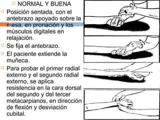 Flexion Y Extencion De Mu eca PPT flexion-y-extencion-de-mu-eca-ppt