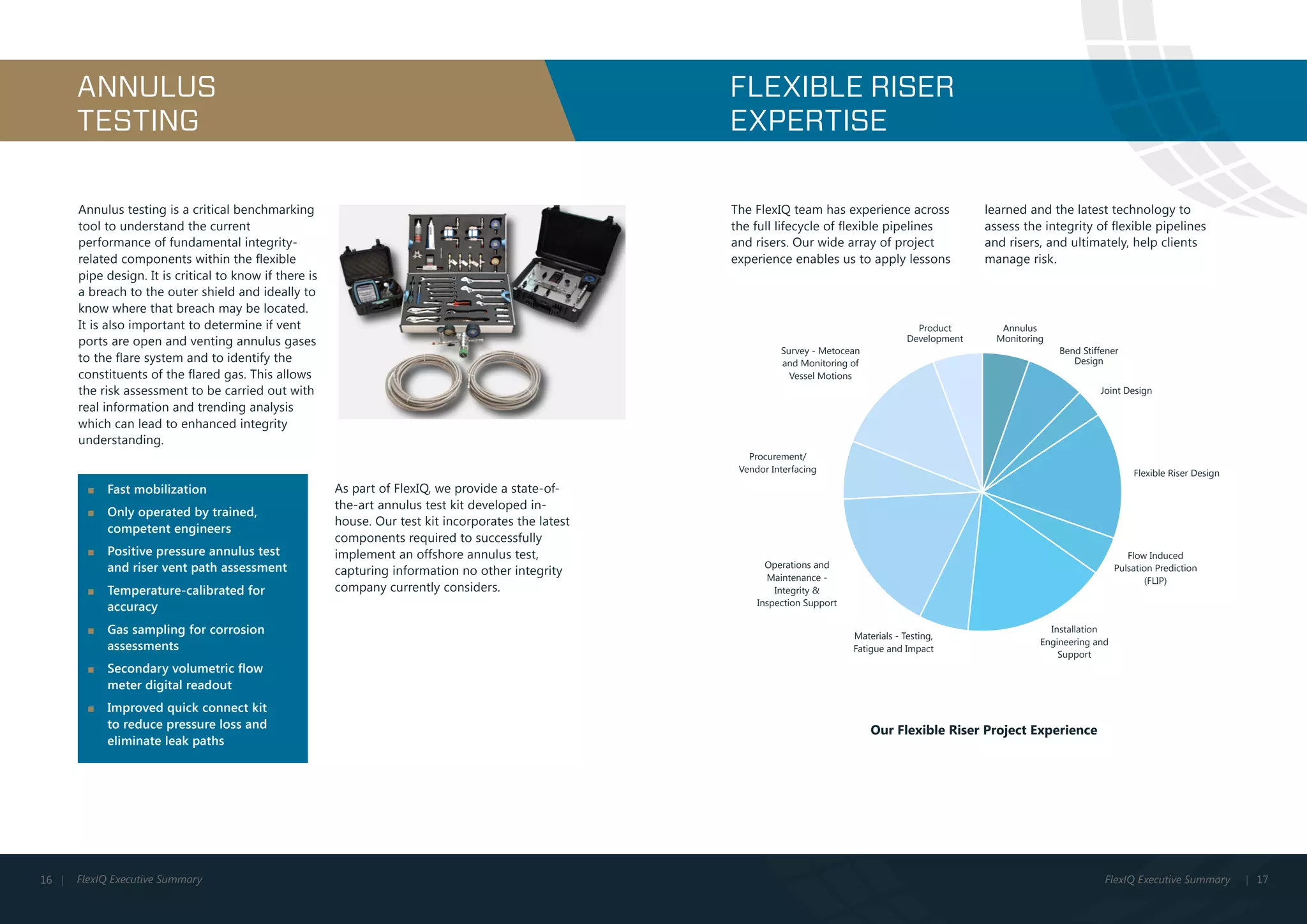 FlexIQ - Executive Summary | PDF