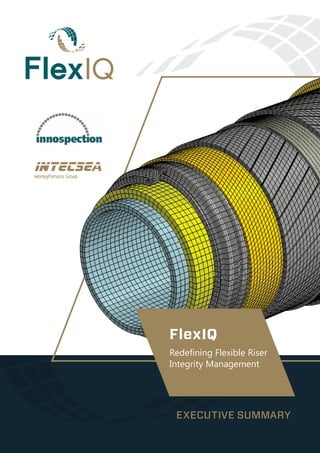 EXECUTIVE SUMMARY
FlexIQ
Redefining Flexible Riser
Integrity Management
 