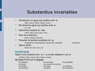 Substantius invariables
 Substantius no aguts que acaben amb -s :
llapis, cactus, alferes, bíceps, socors…
 Els femenins aguts que acaben amb -s :
ics, urbs
 Llatinismes acabats en –us:
cactus, fetus, porus, tipus, virus…
 Dies de la setmana:
dilluns, dimarts, dimecres…
 Paraules compostes acabades en –s:
comptagotes, trencaclosques, penja-robes, llavaplats, salvavides…
 Alguns altres:
temps, bis, fons, plus, pus
EXCEPCIONS
Alguns mots acabats amb - x o - ç només afegeixen una -s:
apèndixs, hèlixs, tòraxs, falçs, índexs, vèrtexs...
No tenen forma per al singular:
les acaballes les bermudes les pessigolles
els afores els calçotets les postres
les alicates les noces les setrilleres
les beceroles els pantis els sostenidors
 