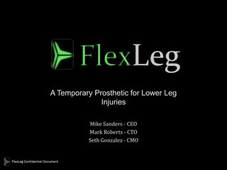 A Temporary Prosthetic for Lower Leg
              Injuries

          Mike Sanders - CEO
          Mark Roberts - CTO
          Seth Gonzalez - CMO
 