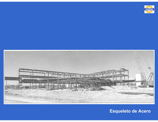 Esqueleto de Acero
 
