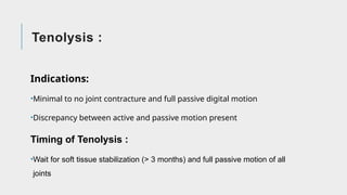 Comprehensive Guide to Flexor and Extensor Tendon Injuries: Anatomy ...