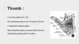 Comprehensive Guide to Flexor and Extensor Tendon Injuries: Anatomy ...