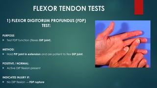 Tendon Testing Hand Comprehensive Overview of Flexor and Extensor Tendon Injuries of the ...