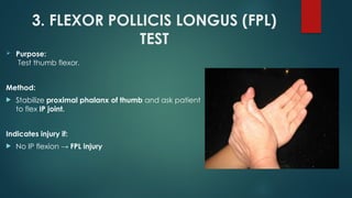 Comprehensive Overview of Flexor and Extensor Tendon Injuries of the ...