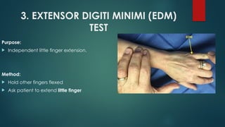 Comprehensive Overview of Flexor and Extensor Tendon Injuries of the ...