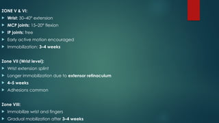 Comprehensive Overview of Flexor and Extensor Tendon Injuries of the ...