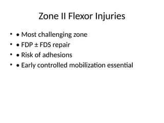 Fds Injuries Comprehensive Postgraduate Presentation on Hand Flexor and Extensor ...