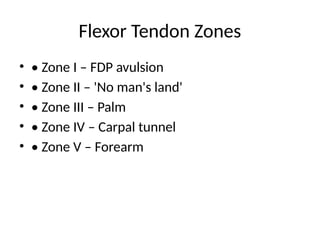 Verdan Classification Comprehensive Postgraduate Presentation on Hand Flexor and Extensor ...