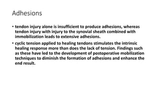 Flexor and extensor tendon injury | PPTX