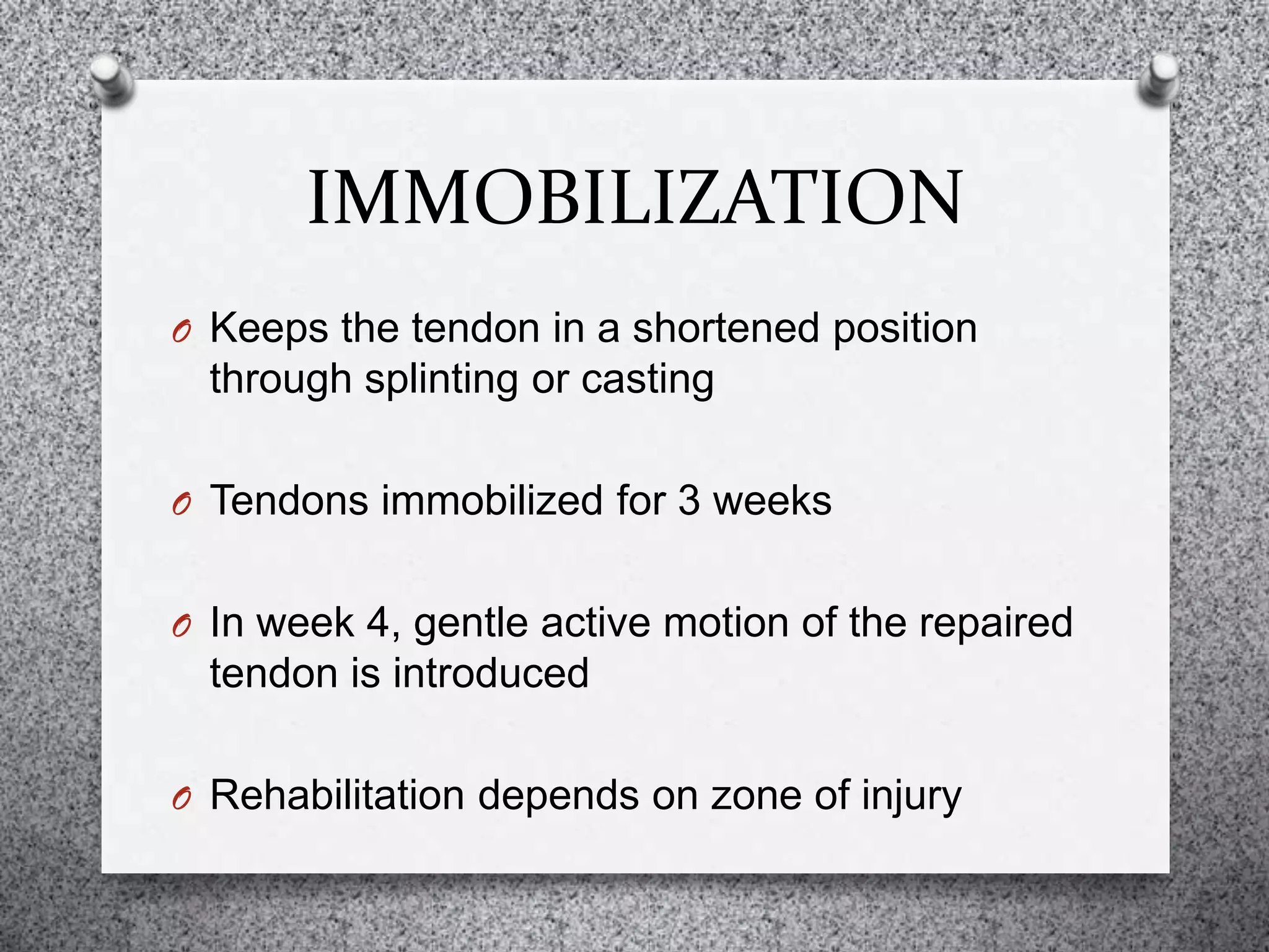 IMMOBILIZATION
O Keeps the tendon in a shortened position
through splinting or casting
O Tendons immobilized for 3 weeks
O In week 4, gentle active motion of the repaired
tendon is introduced
O Rehabilitation depends on zone of injury
 