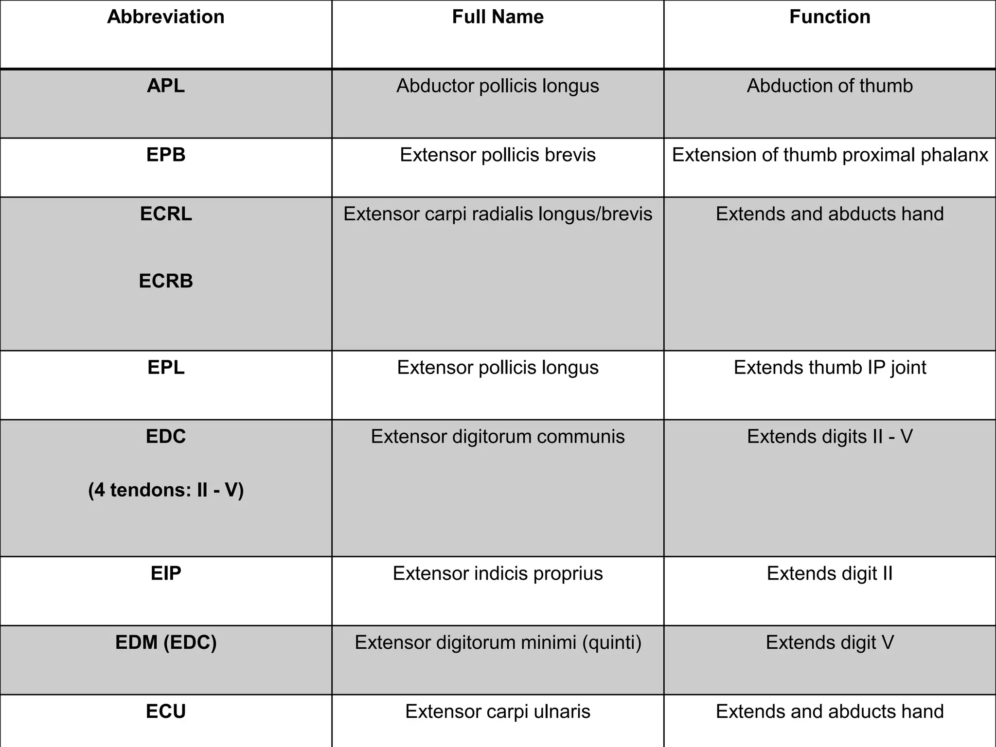 Abbreviation Full Name Function
APL Abductor pollicis longus Abduction of thumb
EPB Extensor pollicis brevis Extension of thumb proximal phalanx
ECRL
ECRB
Extensor carpi radialis longus/brevis Extends and abducts hand
EPL Extensor pollicis longus Extends thumb IP joint
EDC
(4 tendons: II - V)
Extensor digitorum communis Extends digits II - V
EIP Extensor indicis proprius Extends digit II
EDM (EDC) Extensor digitorum minimi (quinti) Extends digit V
ECU Extensor carpi ulnaris Extends and abducts hand
 